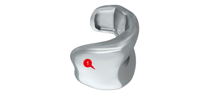 KNEE-SYSTEM