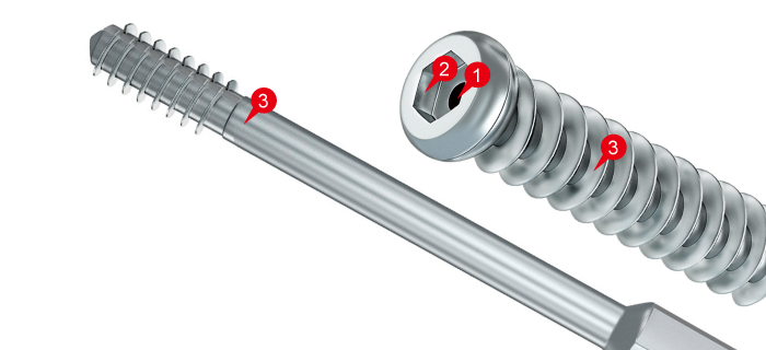 SCREWS