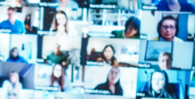 Seminar / Webinar